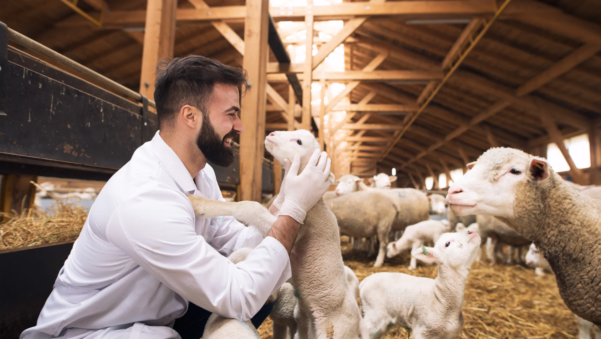 Livestock & Animal Mortality Business Insurance